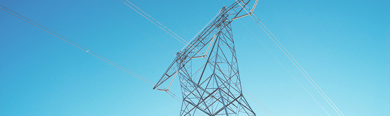 技術(shù)團(tuán)隊(duì)